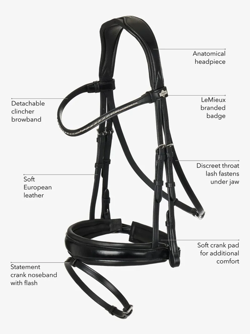 LeMieux Classic Dressage Bridle - Black-4